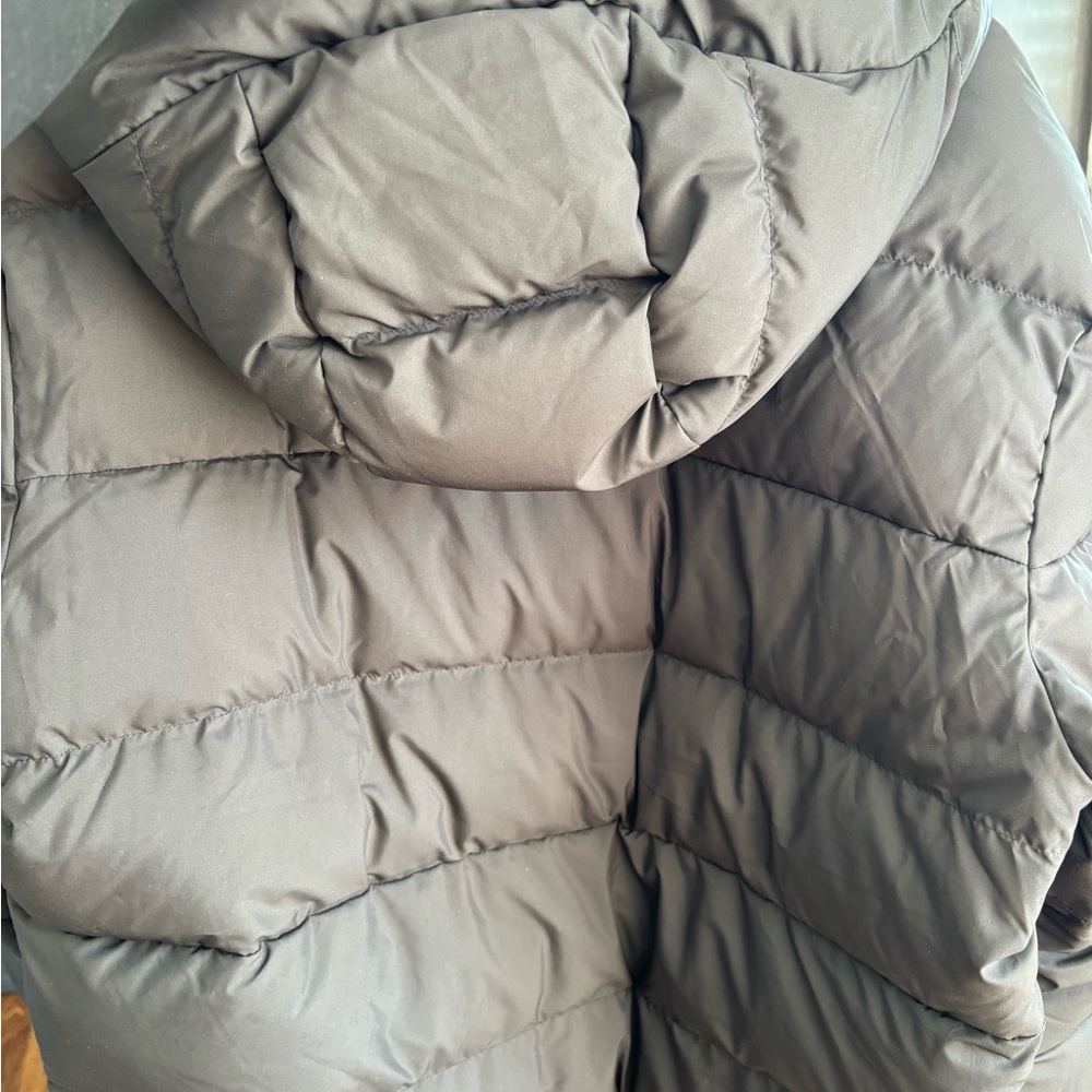 Women’s Frost Fall Hooded North Face Jacket- New with tags. - Picture 6 of 7